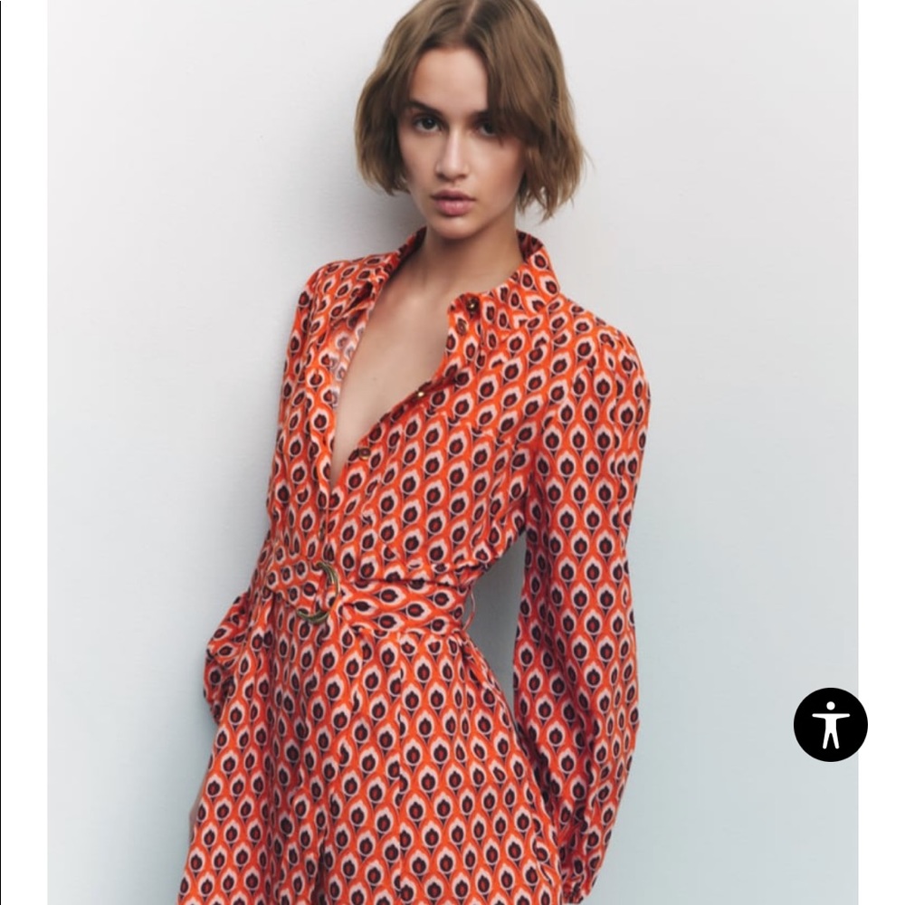 Zara Brijette Dress